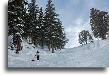 Ześlizg Alta::Jackson Hole, Wyoming, USA::