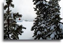 Biscuit Basin::Park Yellowstone, Stany Zjednoczone::