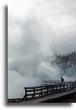 Biscuit Basin #2::Park Yellowstone, Stany Zjednoczone::