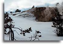 Taras Kleopatry::Park Yellowstone, Stany Zjednoczone::
