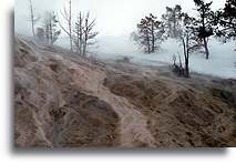 Źródło palety kolorów::Park Yellowstone, Stany Zjednoczone::