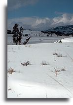 Dolina Lamar::Park Yellowstone, Stany Zjednoczone::