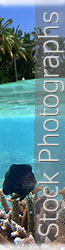 Stock Photographs - photo.swulinski.com
